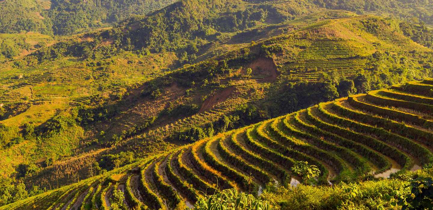 TOP Prowincja Lao Cai Skutery I Motory 2024 DARMOWA Rezygnacja top-prowincja-lao-cai-skutery-i-motory-2024-darmowa-rezygnacja