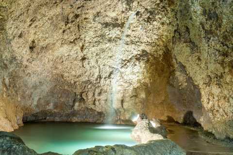 Grotte di Harrison's Cave tickets - Saint Thomas, Barbados - Prenotazione  biglietti | GetYourGuide