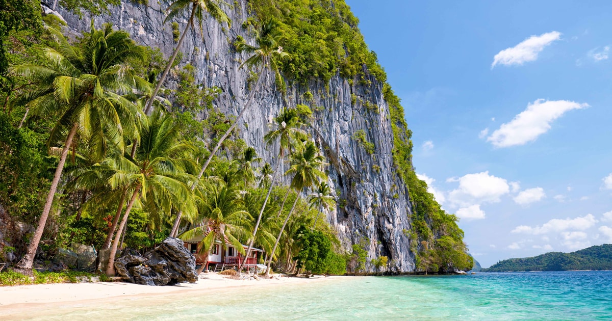 The best Palawan Firefly experiences - 2026 (Verified Reviews)