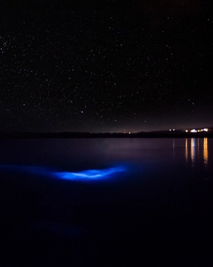 Luminous Lagoon