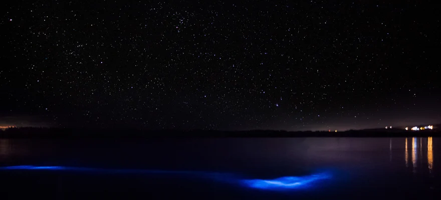 Luminous Lagoon