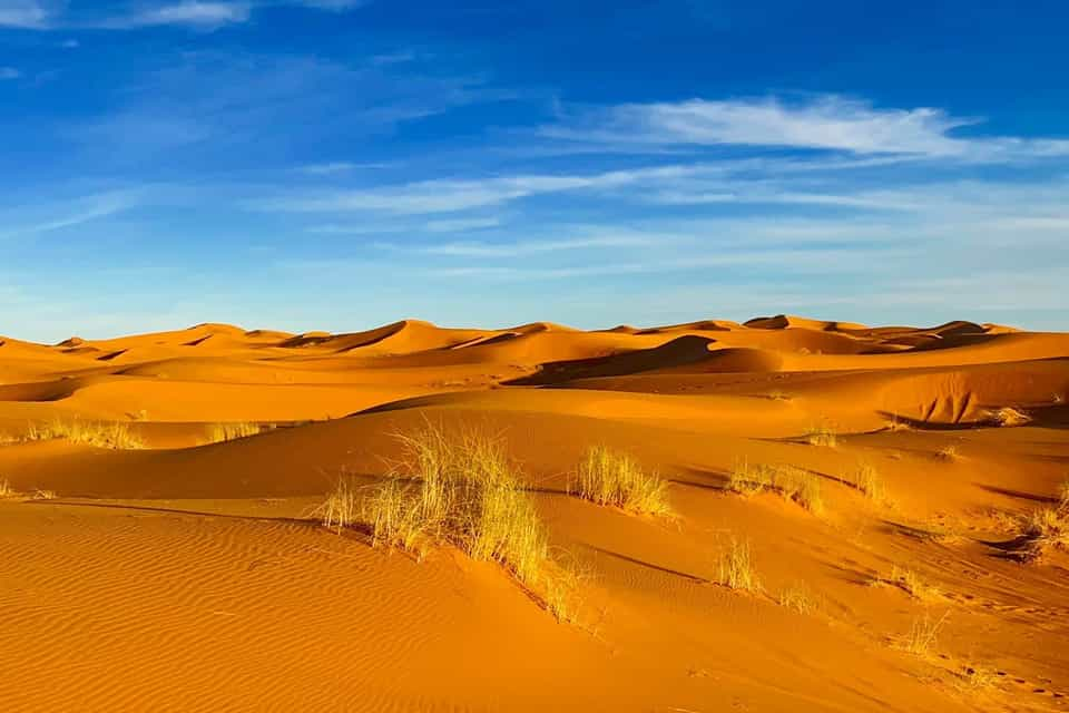 Erg Chebbi, Drâa-Tafilalet, Morocco - Book Tickets & Tours | GetYourGuide