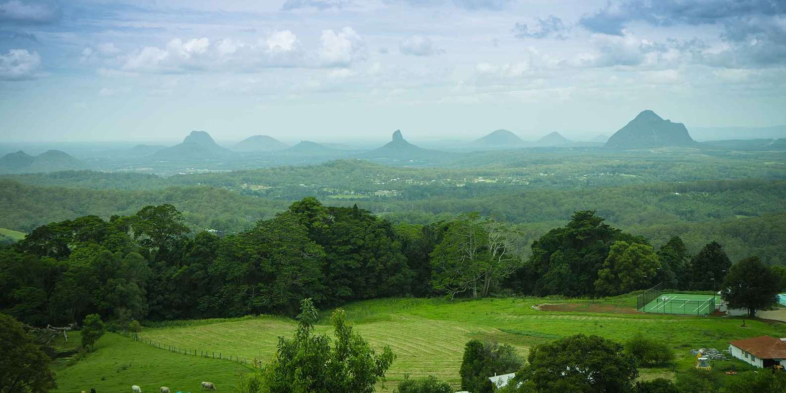 Lasses naturfoto, image size:1585x792