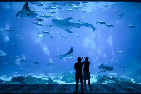 1. Poema del Mar