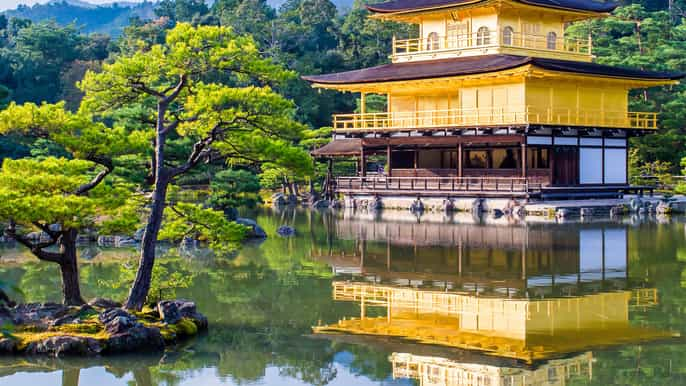 Kinkaku Ji Kyoto Book Tickets Tours Getyourguide