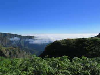 Madeira Explorers: Tours y Entradas