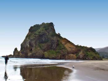 Piha Beach Tours & Tickets