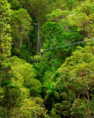 TreeTop Challenge