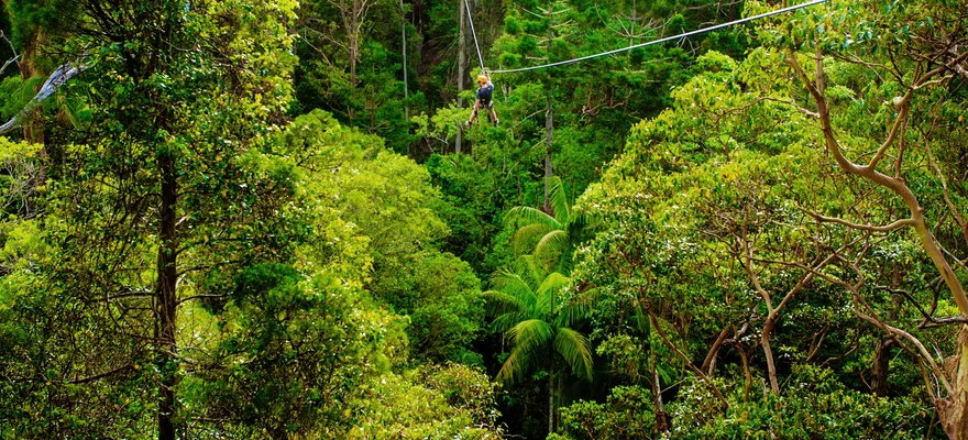 TreeTop Challenge