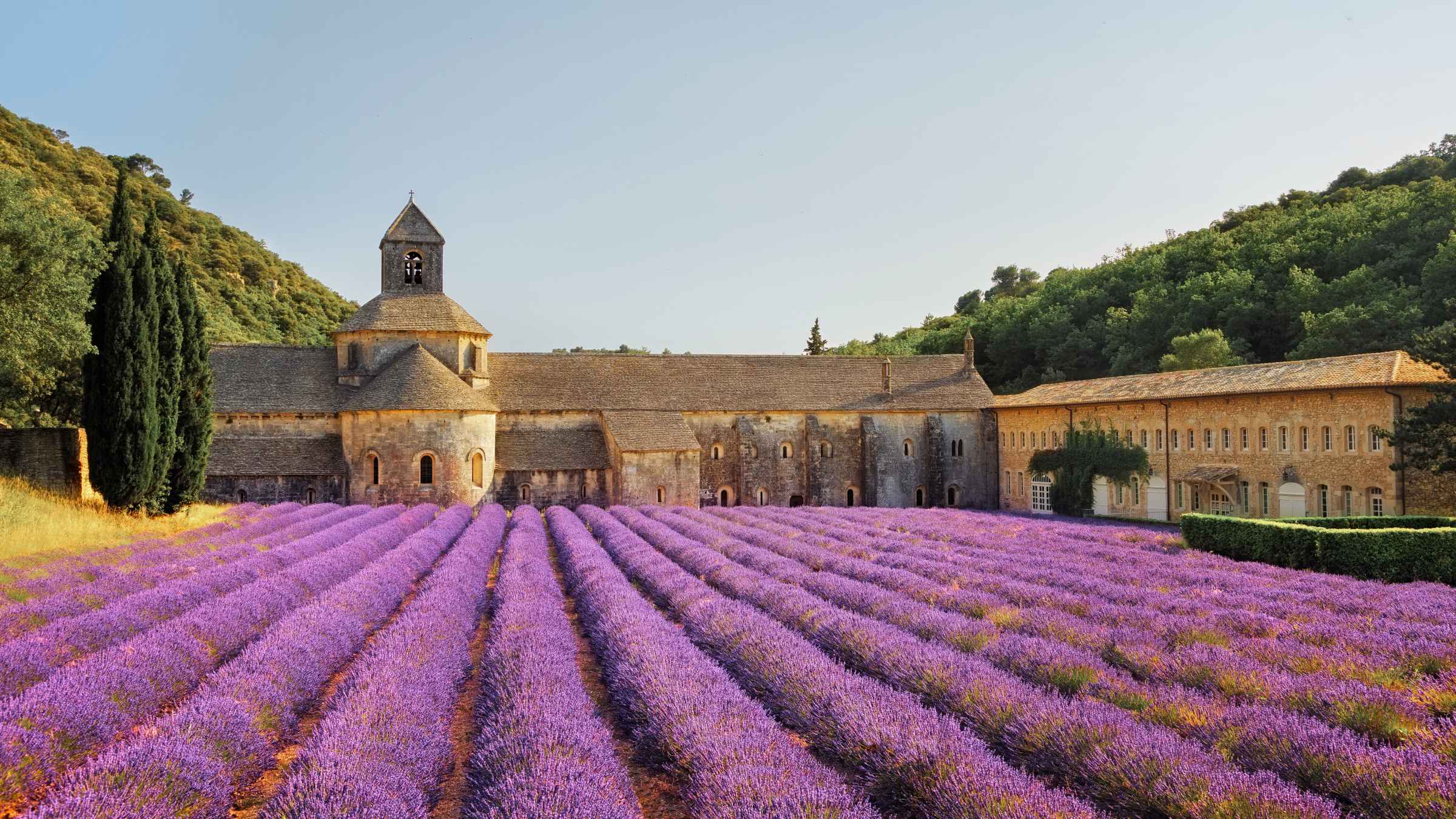 Provence 2021 Top 10 Tours & Activities (with Photos) Things to Do