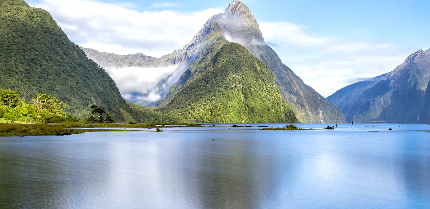 The BEST Fiordland National Park Tours 2024 - FREE Cancellation ...