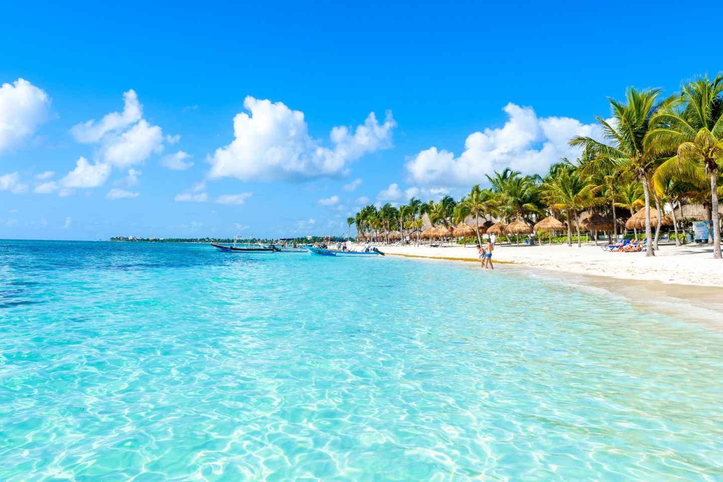 The BEST Cancún Tours and Things to Do in 2023 - FREE Cancellation |  GetYourGuide