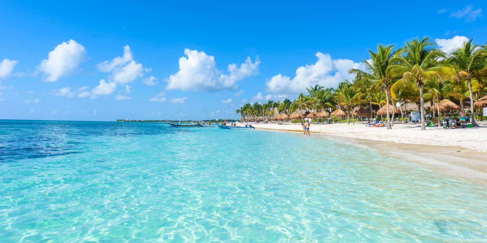 The BEST Cancún Safaris & wildlife activities 2023 FREE Cancellation |