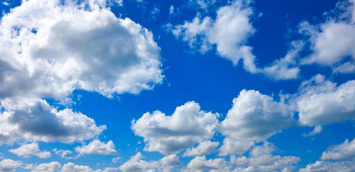 BEDSTE Holbox Natur og eventyr 2024 GRATIS afbestilling GetYourGuide