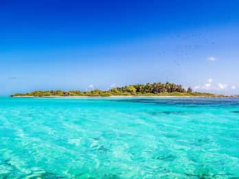 Isla Contoy: Tours y Entradas
