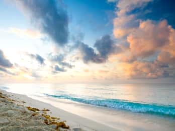 Playacar Touren & Tickets