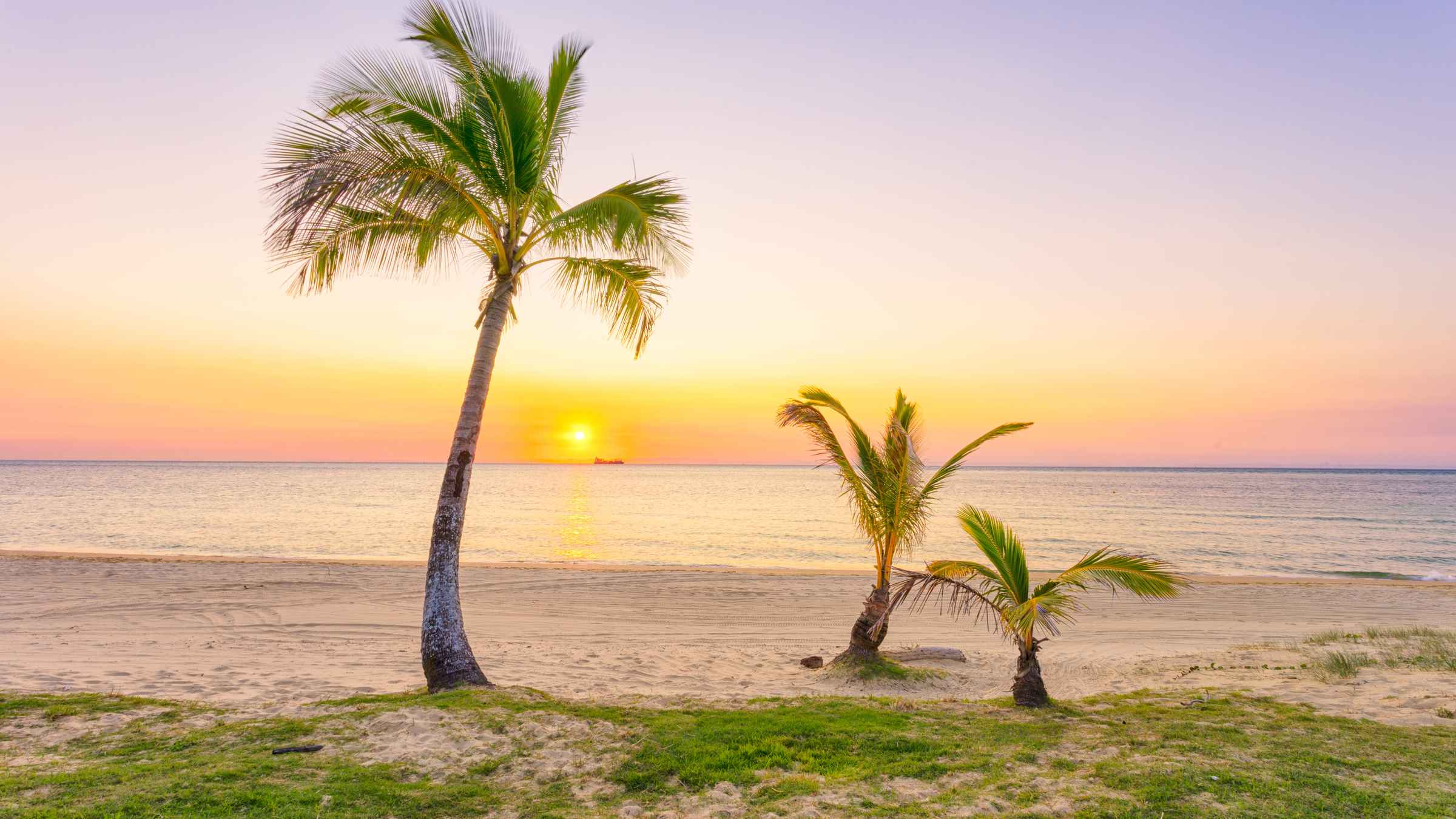 Isla Moreton, Brisbane Reserva de entradas y tours GetYourGuide