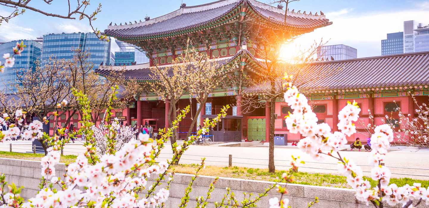 De BESTE Natuur & avontuur in ZuidKorea van 2024 GRATIS annuleren GetYourGuide