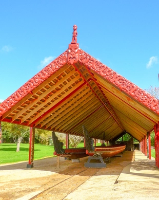 Terrenos del tratado de Waitangi