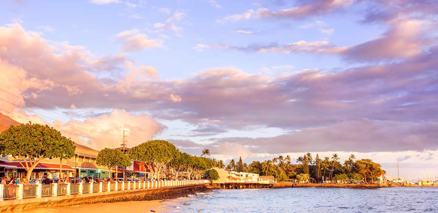 The BEST Lahaina Harbor Snorkeling 2024 - FREE Cancellation | GetYourGuide