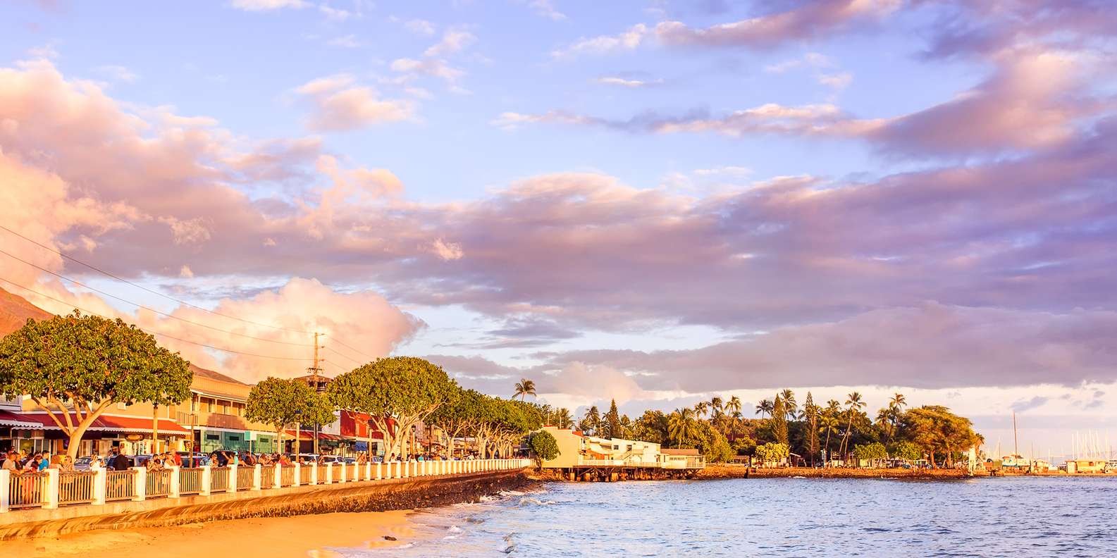 The BEST Lahaina Tours and Things to Do in 2024 FREE Cancellation GetYourGuide