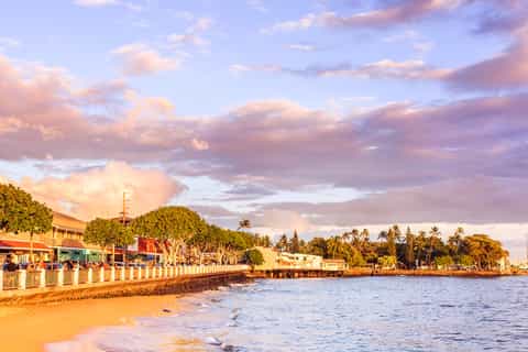 The best Lahaina Family-friendly activities 2026 - GetYourGuide