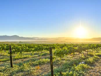 Franschhoek Franschhoek