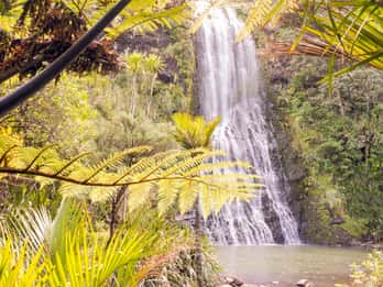 Waitakere Ranges Waitakere Ranges