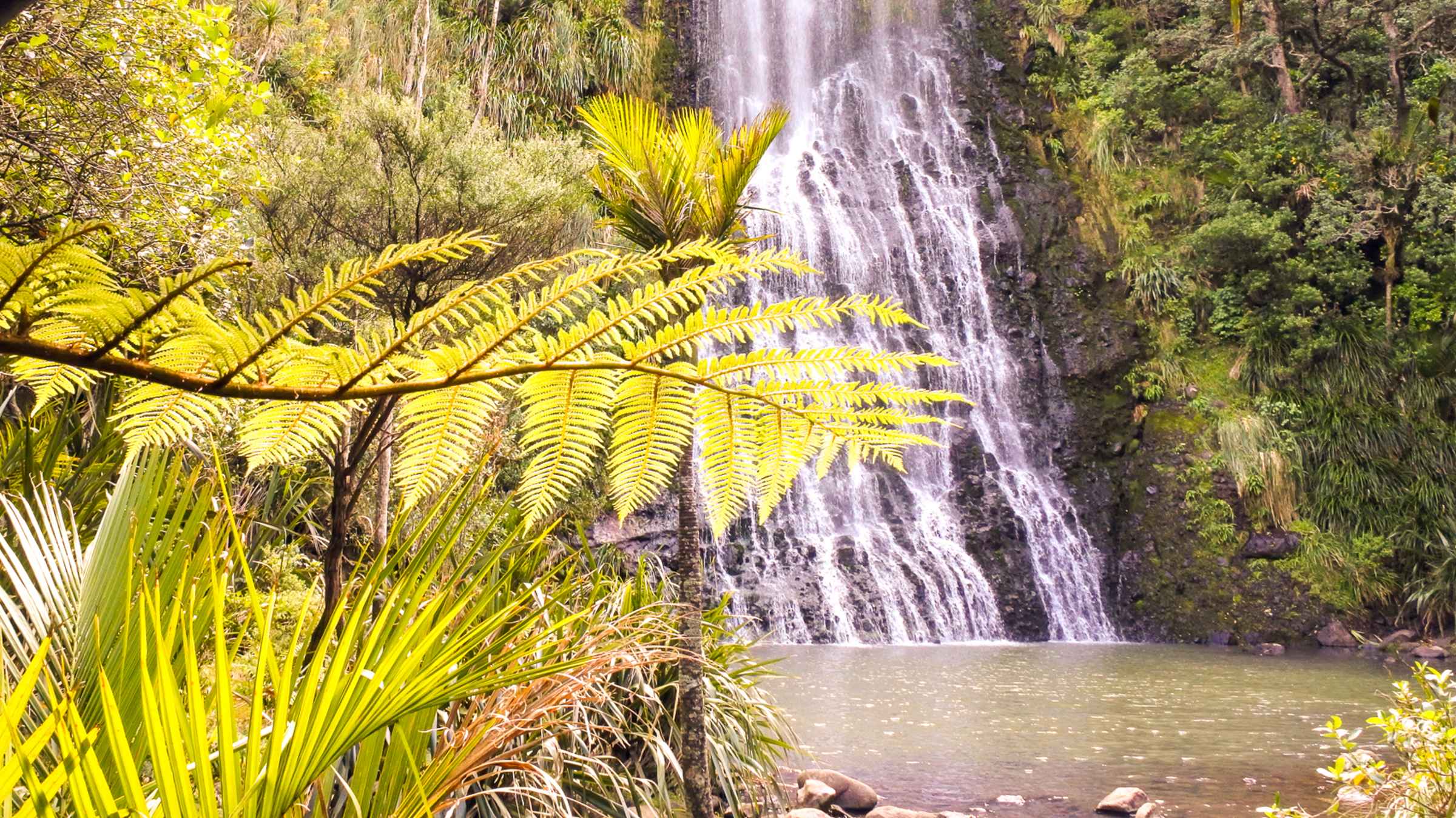 Waitakere Ranges, Auckland - Book Tickets & Tours | GetYourGuide