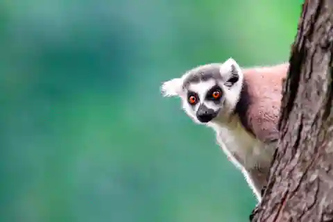 3. Willowbank Wildlife Reserve