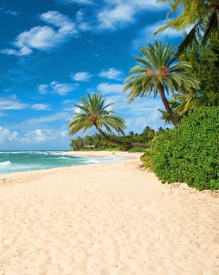 Banzai Pipeline