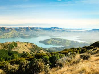 Akaroa Harbour Tours & Tickets