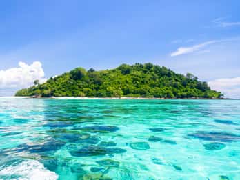 Green Island Green Island