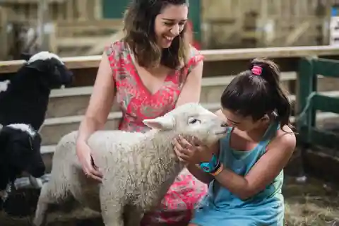 6. Agrodome