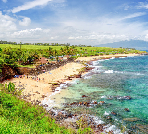 Travelers recommend
