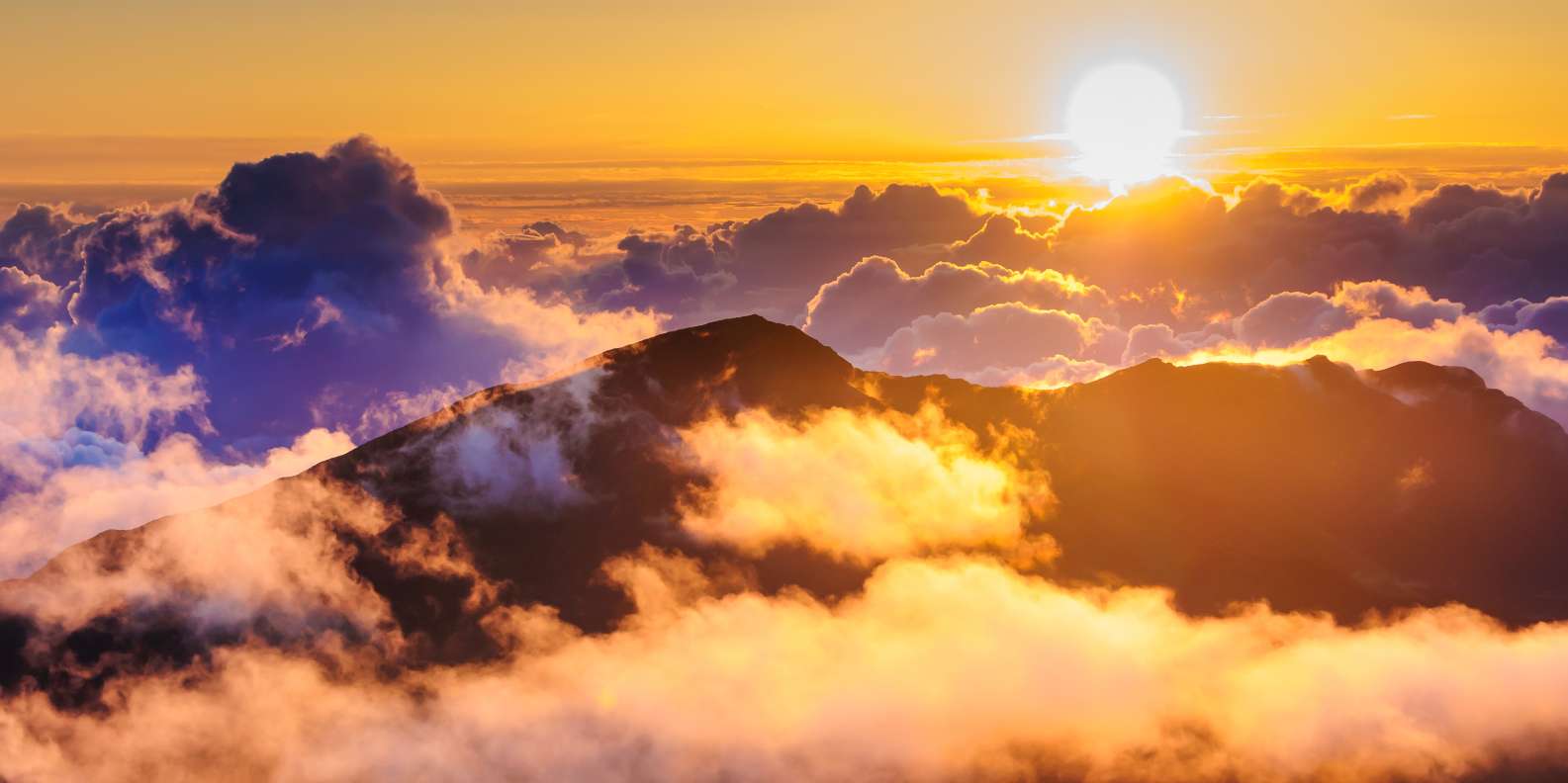 The BEST Haleakalā National Park Sunrise tours 2023 FREE Cancellation