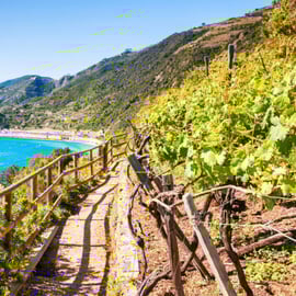 Travelers recommend