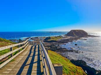 Isla Phillip: Tours y Entradas