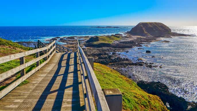 Day trip to Phillip Island