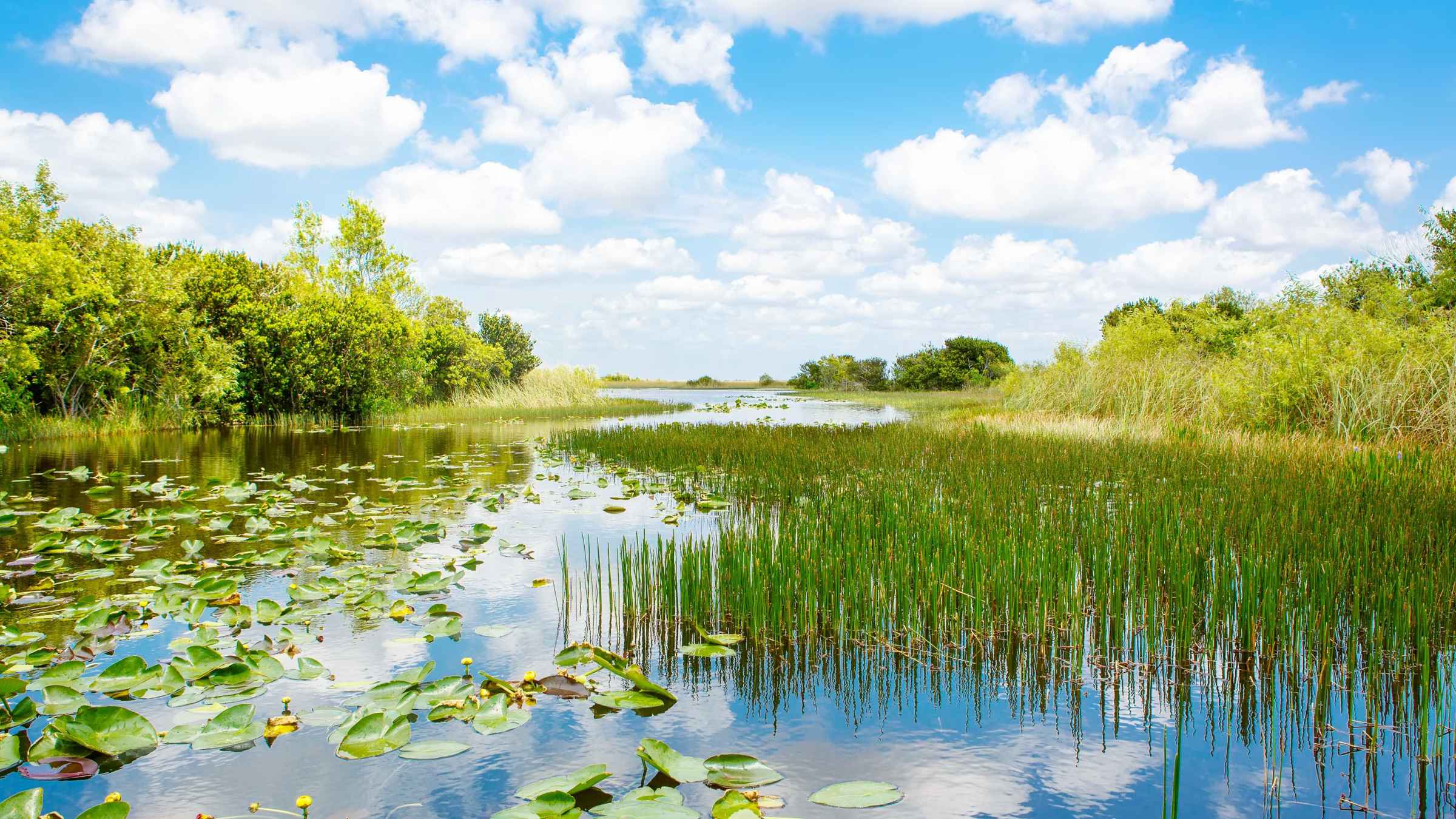 best time to visit florida everglades