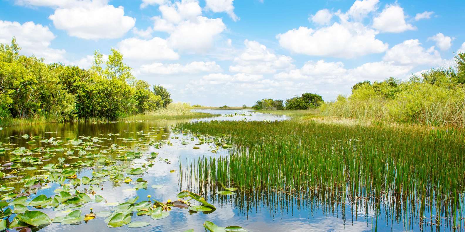 The BEST Everglades City Tours and Things to Do in 2022 