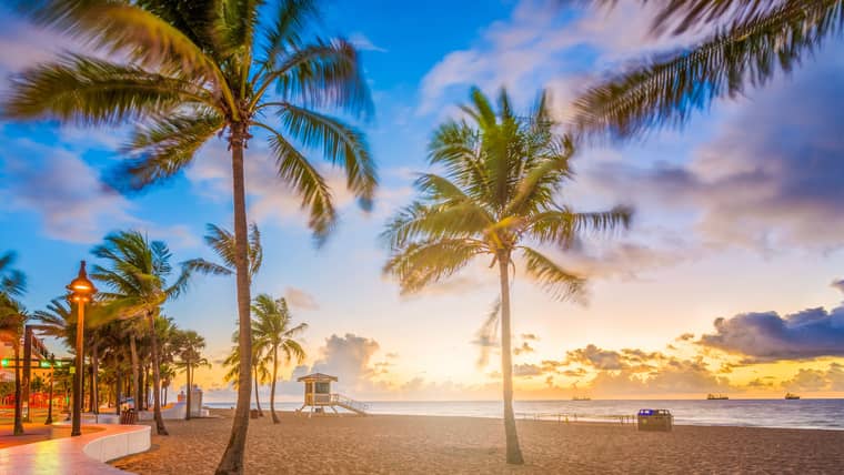 Die besten Aktivitäten in Fort Lauderdale
