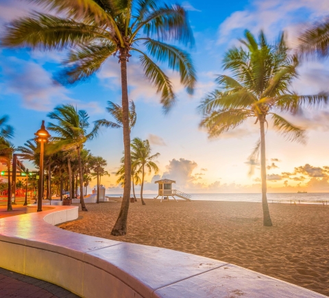 Things to Do in Fort Lauderdale - See Sight Tours