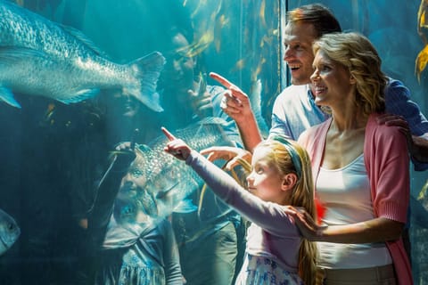 SEA LIFE Aquarium Orlando