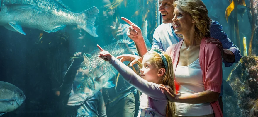 SEA LIFE Orlando Aquarium