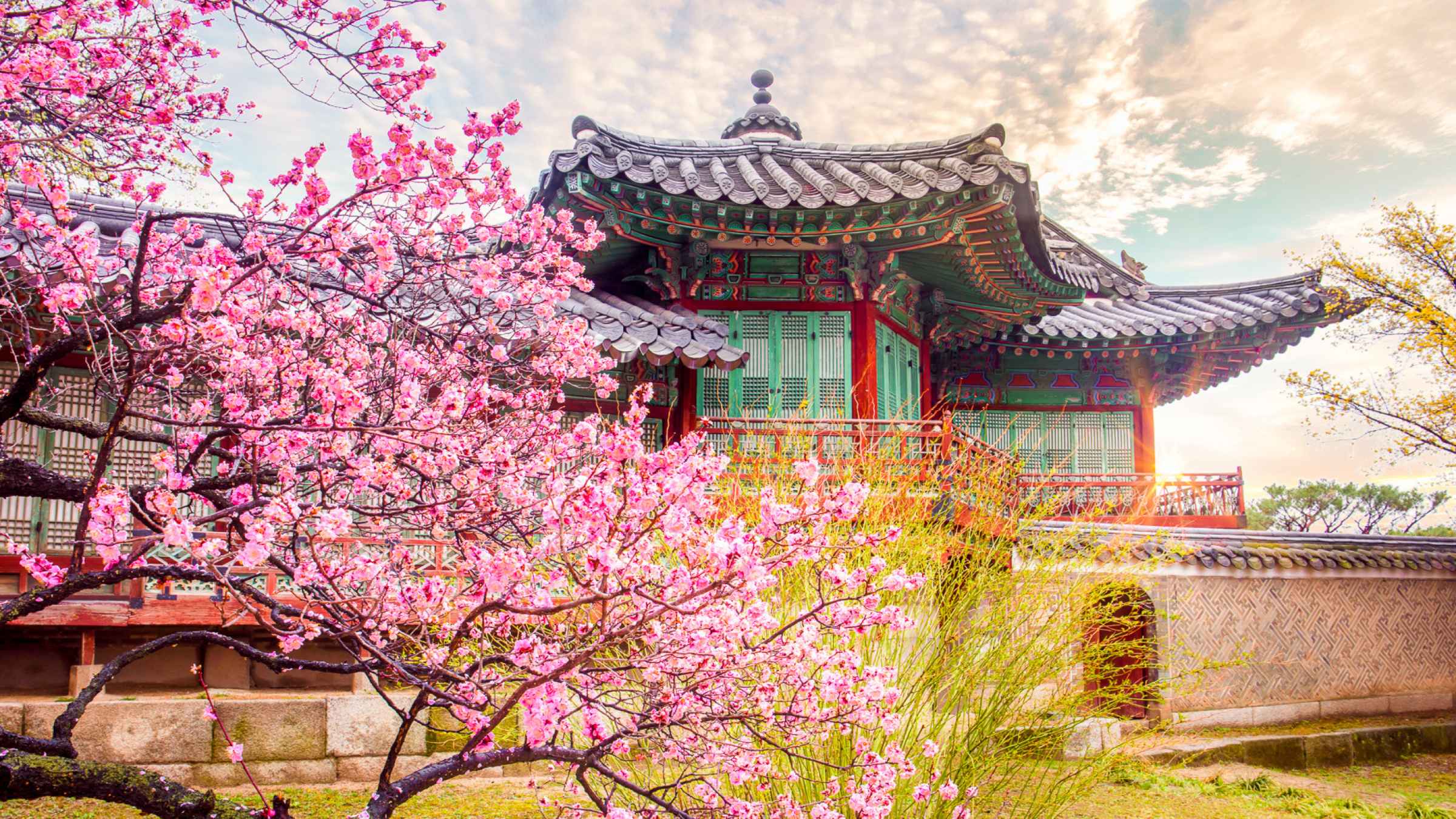 Changdeokgung Palace In 1 week | GetYourGuide