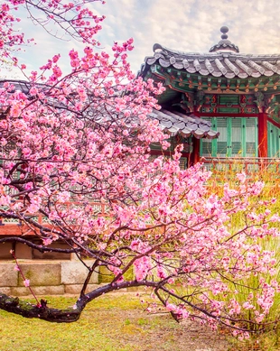 Changdeokgung