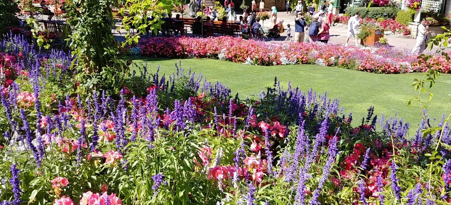 Beacon Hill Park