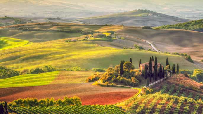 Day trip to the Val d’Orcia