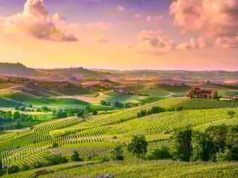 Langhe Touren & Tickets